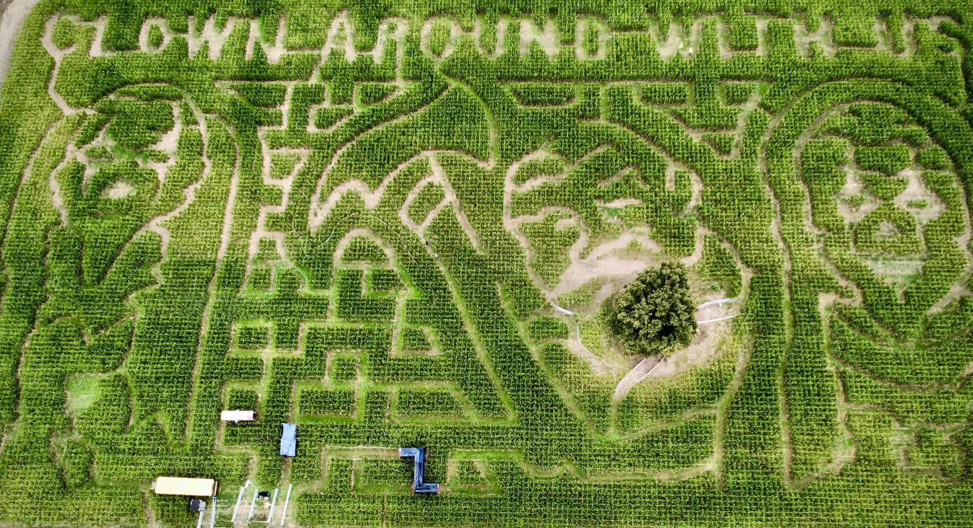 BOGO Tickets to Aurora Maize at Adventure Farm!